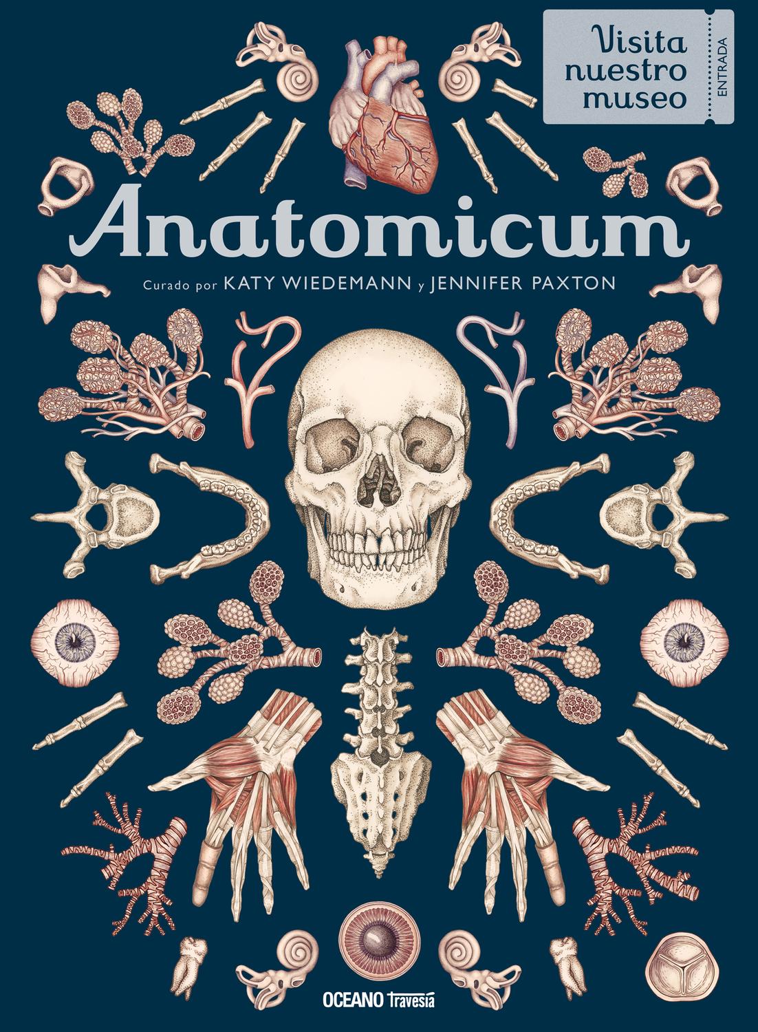 Anatomicum $695