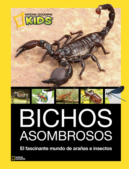 Libro Bichos Asombrosos Editorial National Geographic Kids Autor National Geographic