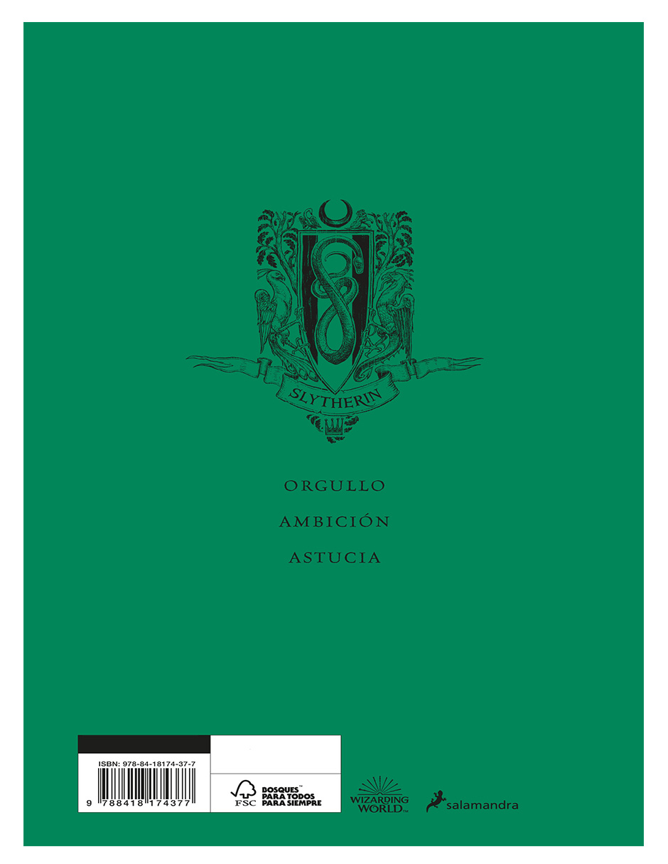 Foto 3 pulgar | Libro Harry Potter Y El Cáliz De Fuego (20 Aniv. Slytherin) Edición Especial Autor  J. K. Rowling