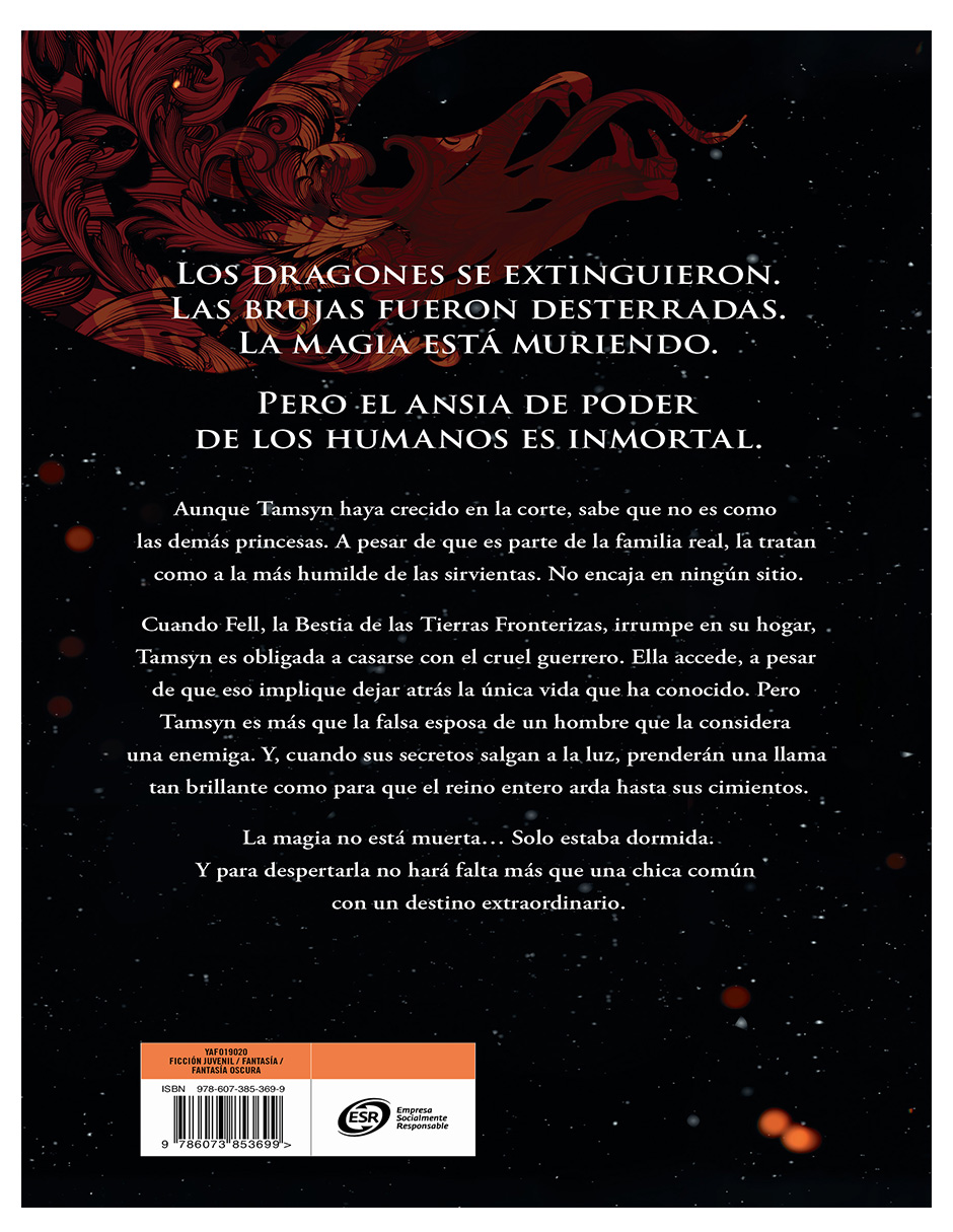 Foto 3 pulgar | Libro Fuego En El Cielo   Sophie Jordan