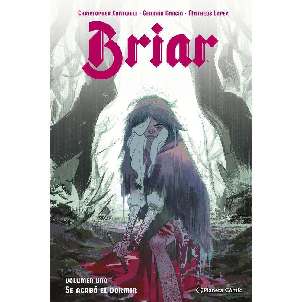 Foto 1 | Briar Nº 01