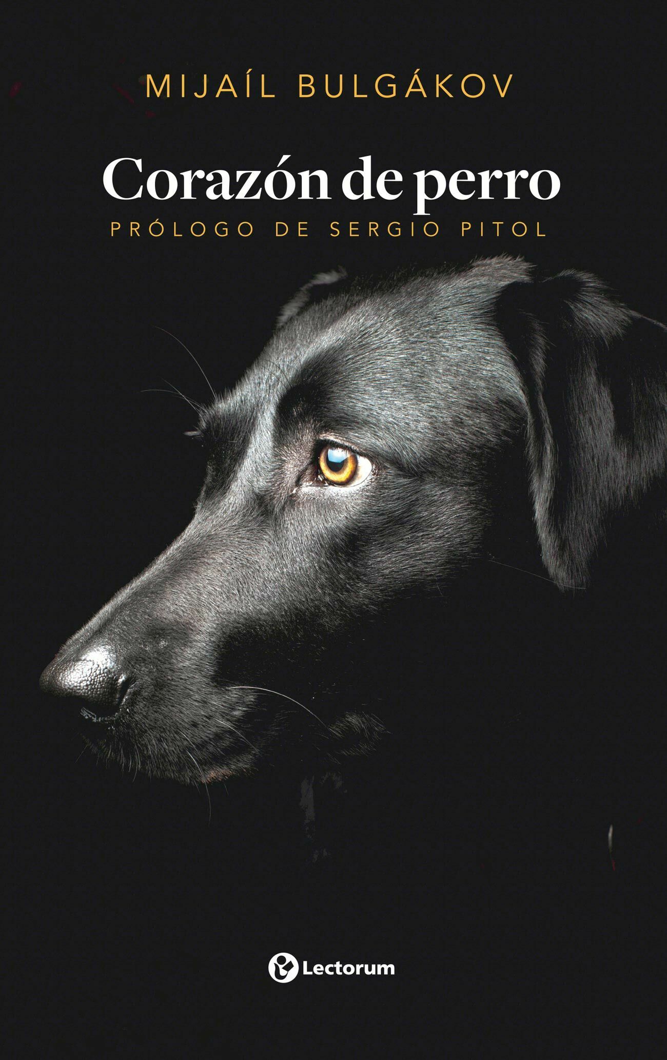 Foto 2 pulgar | Corazón De Perro (nueva Edición)