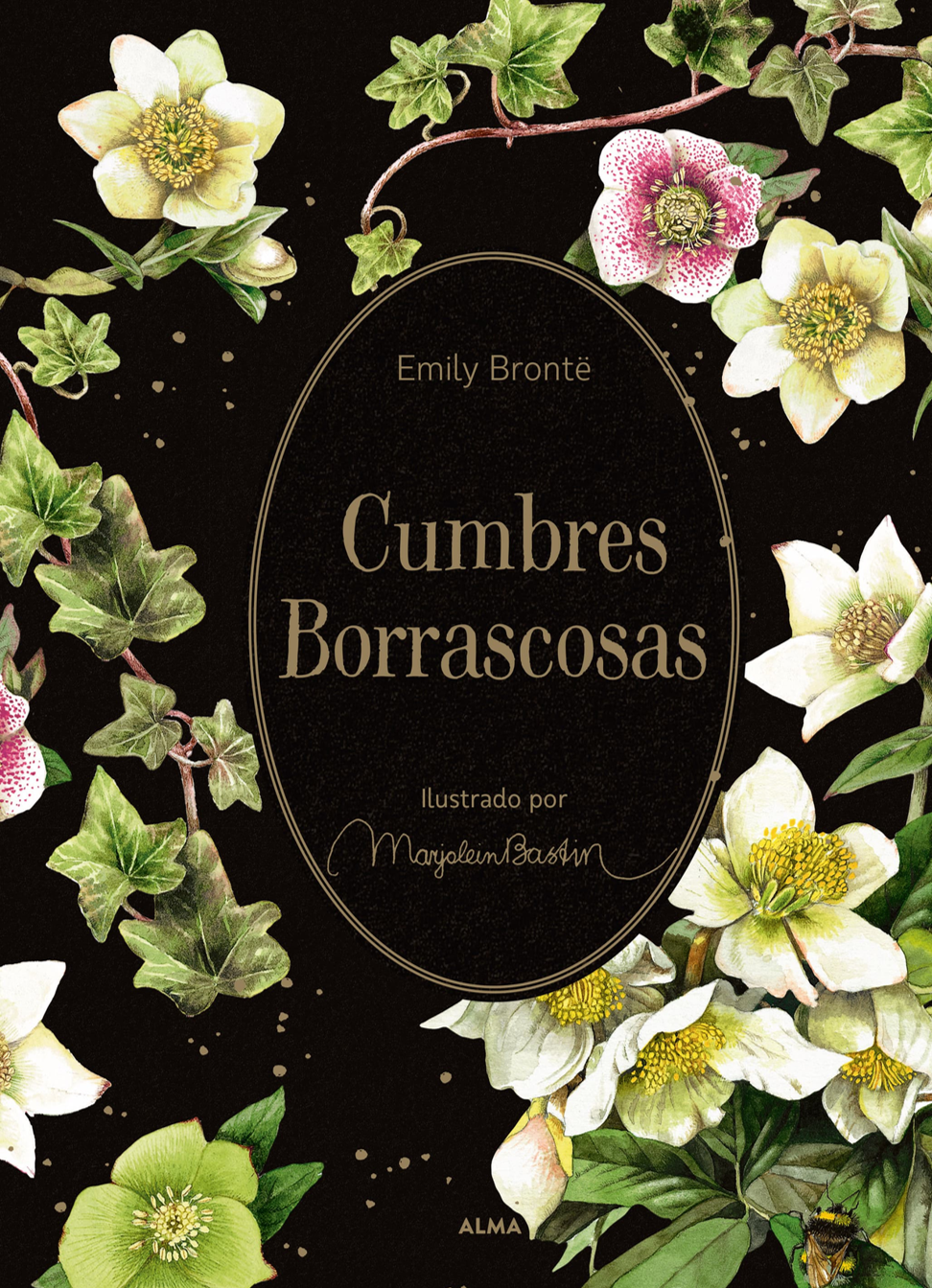 Foto 1 | Cumbres Borrascosas