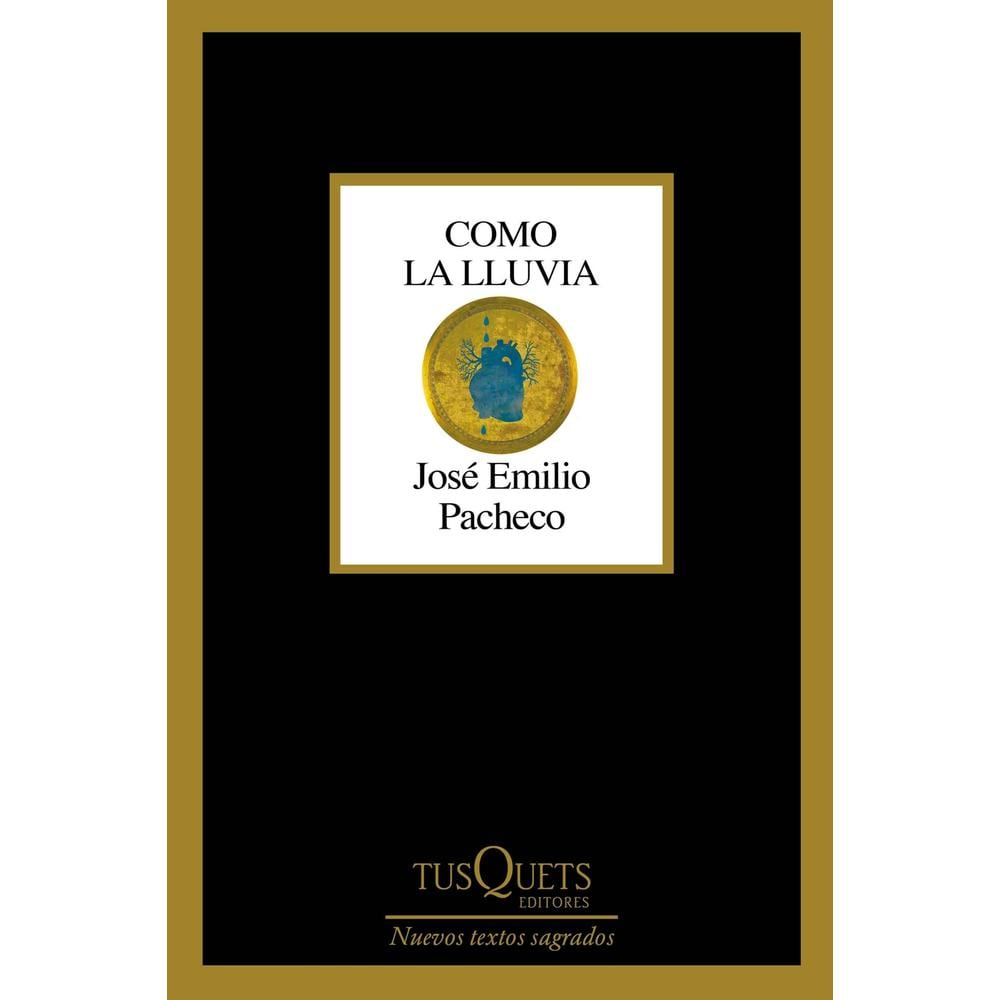 Como La Lluvia $348