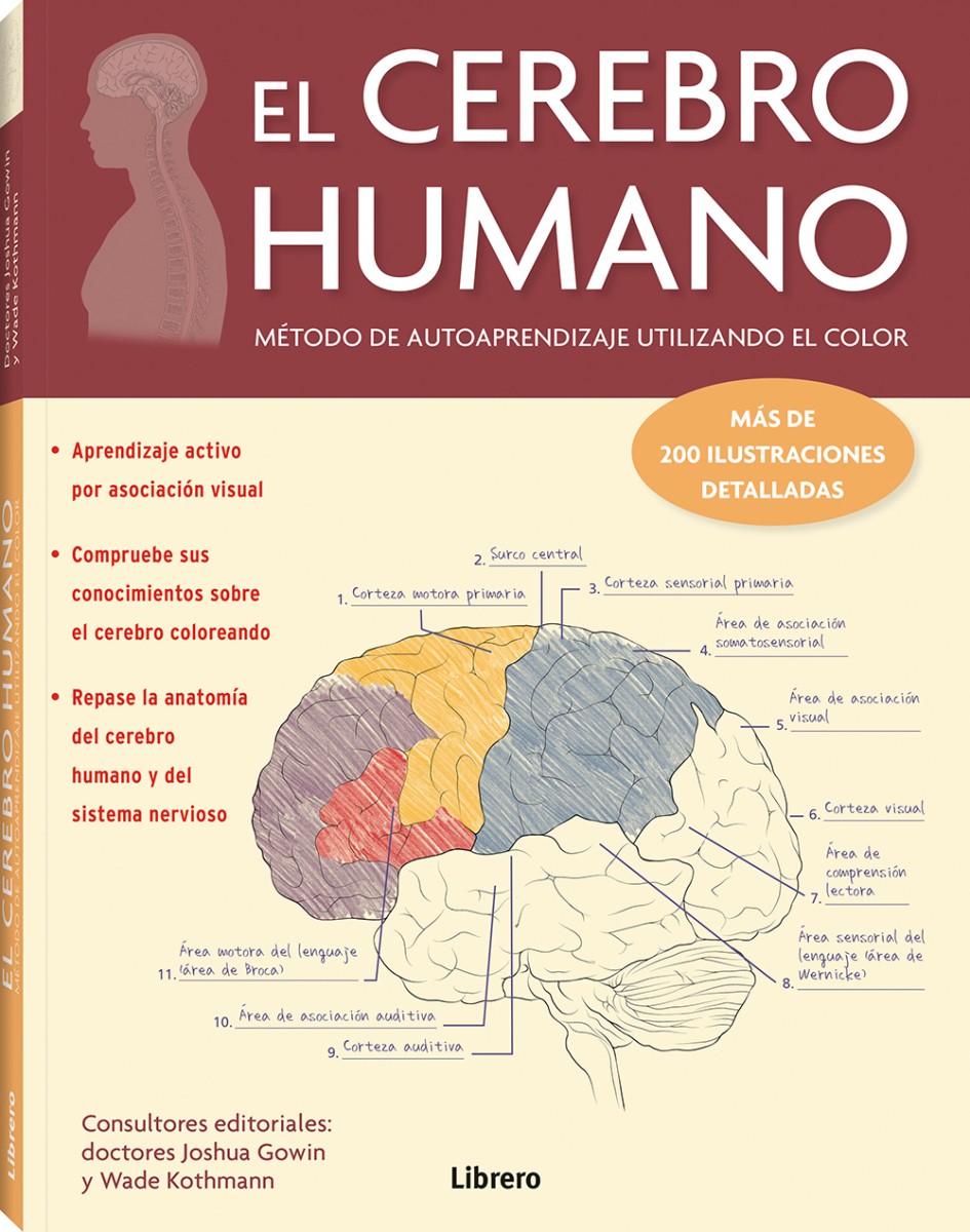 Foto 2 pulgar | El Cerebro Humano Joshua Gowin Librero Tapa Blanda
