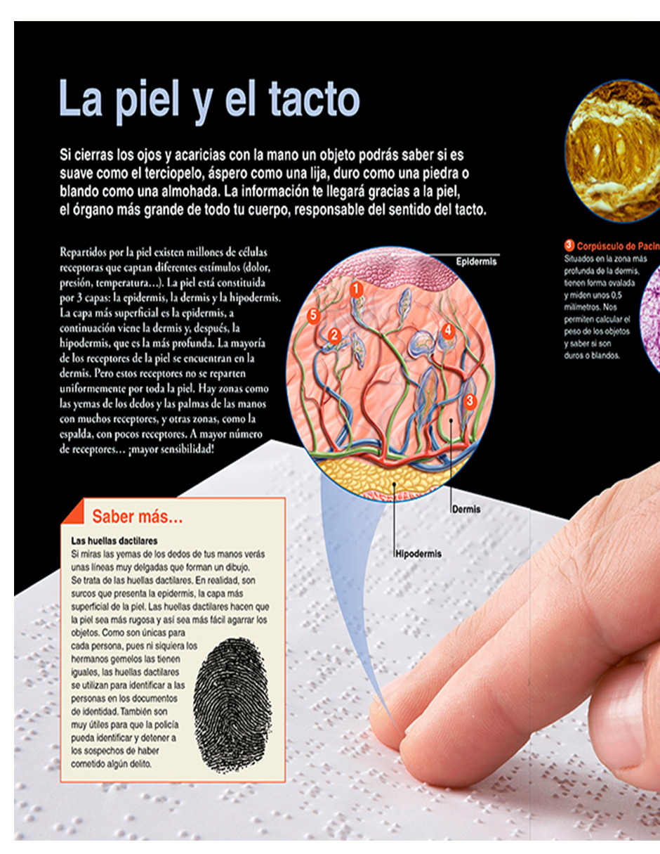 Foto 3 pulgar | Libro El Cuerpo Humano Editorial National Geographic Kids Autor Varios