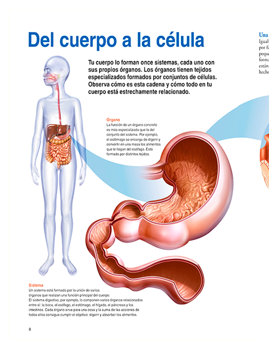 Foto 4 pulgar | Libro El Cuerpo Humano Editorial National Geographic Kids Autor Varios