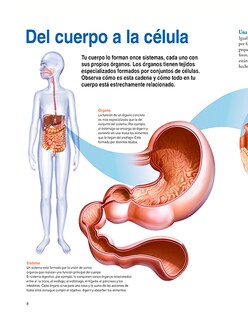 Foto 3 | Libro El Cuerpo Humano Editorial National Geographic Kids Autor Varios