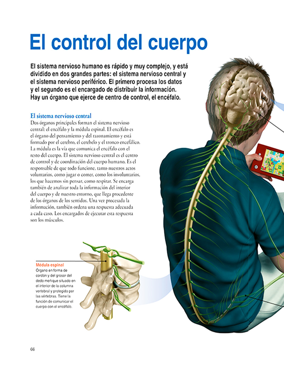 Foto 5 pulgar | Libro El Cuerpo Humano Editorial National Geographic Kids Autor Varios