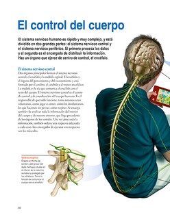Foto 4 | Libro El Cuerpo Humano Editorial National Geographic Kids Autor Varios