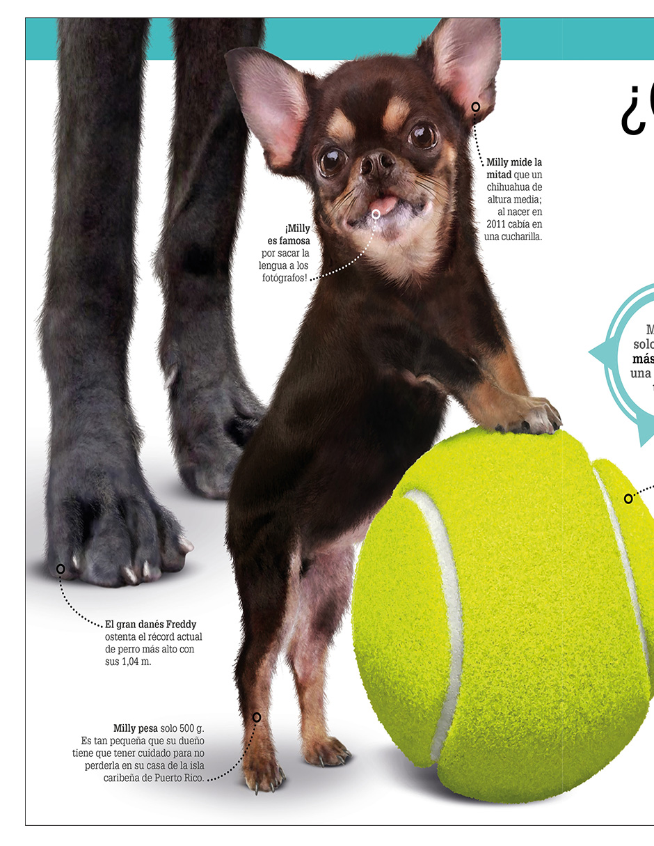 Foto 4 pulgar | ¡increíble Pero Cierto! Animales Autor Dk