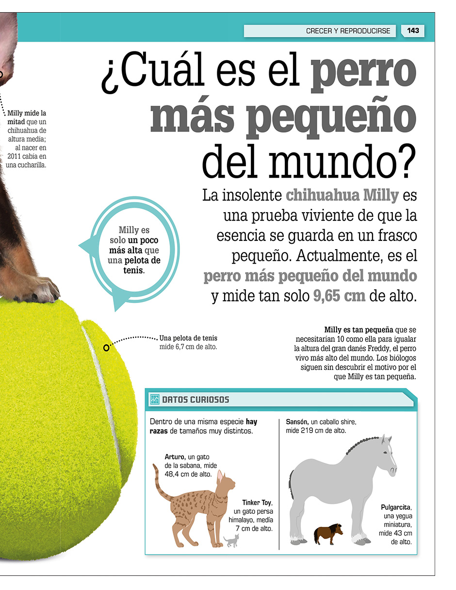 Foto 5 pulgar | ¡increíble Pero Cierto! Animales Autor Dk