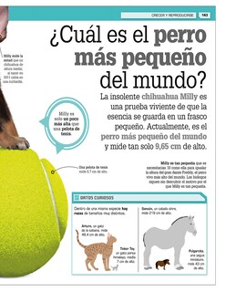 Foto 4 | ¡increíble Pero Cierto! Animales Autor Dk