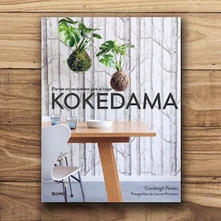 Foto 1 | Kokedama Parker Coraleigh Blume Pasta Dura