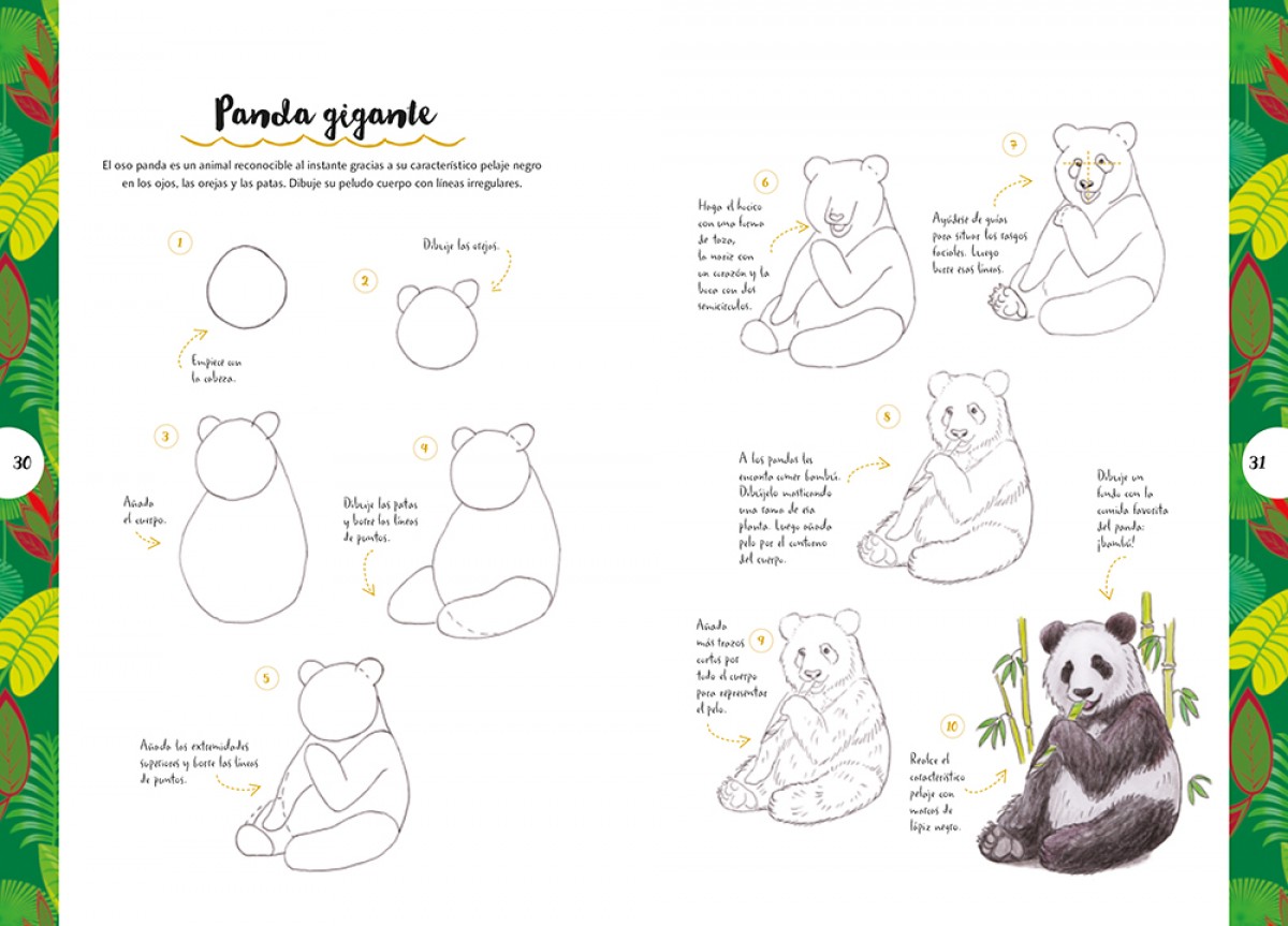Foto 3 pulgar | Dibujar Animales En 10 Pasos Heather Kilgour Librero Tapa Blanda