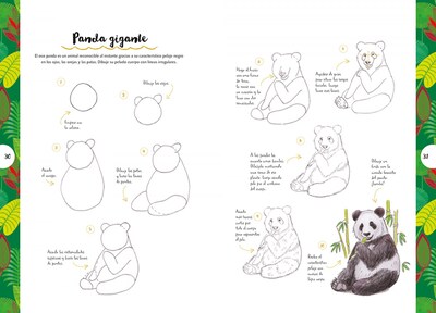 Foto 2 | Dibujar Animales En 10 Pasos Heather Kilgour Librero Tapa Blanda