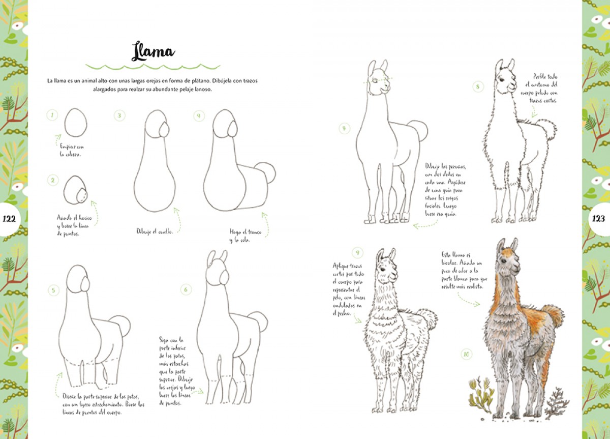 Foto 4 pulgar | Dibujar Animales En 10 Pasos Heather Kilgour Librero Tapa Blanda