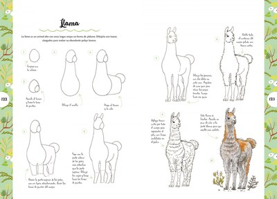 Foto 3 | Dibujar Animales En 10 Pasos Heather Kilgour Librero Tapa Blanda