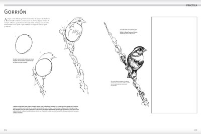 Foto 6 | Guía Completa De Dibujo: Cuaderno De Ejercicios Blume Pasta Blanda