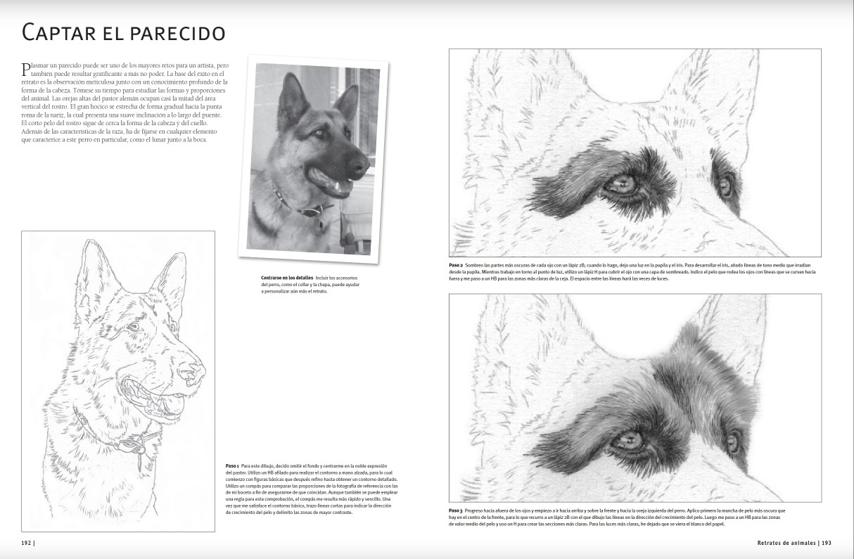 Foto 2 | Guia Completa De Dibujo. Animales Varios Autores Blume Pasta Dura