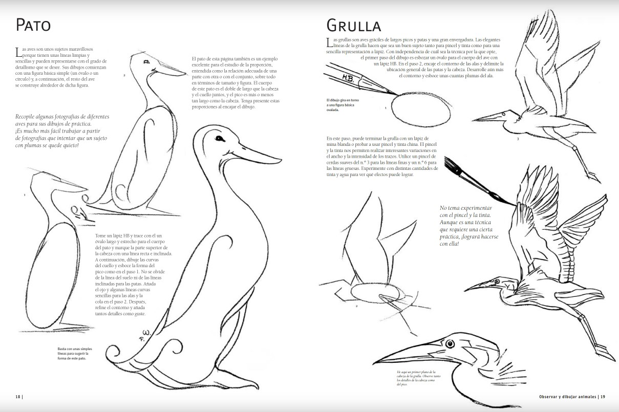 Foto 4 pulgar | Guia Completa De Dibujo. Animales Varios Autores Blume Pasta Dura