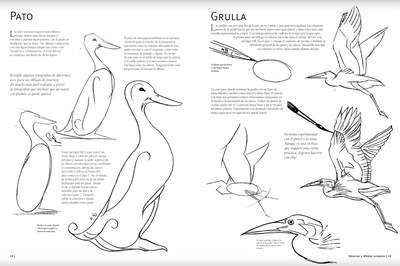 Foto 3 | Guia Completa De Dibujo. Animales Varios Autores Blume Pasta Dura