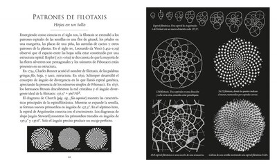 Foto 3 | La Proporcion Aurea Scott Olsen Librero Pasta Dura