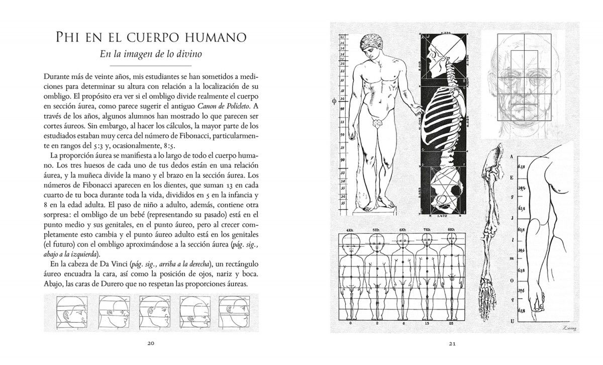 Foto 4 | La Proporcion Aurea Scott Olsen Librero Pasta Dura