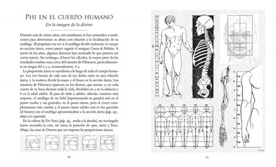 Foto 4 | La Proporcion Aurea Scott Olsen Librero Pasta Dura