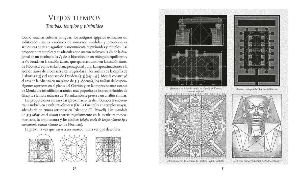 Foto 6 pulgar | La Proporcion Aurea Scott Olsen Librero Pasta Dura