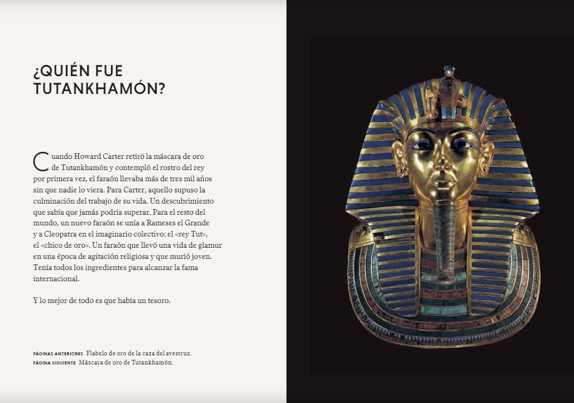 Foto 3 | Tesoros De Tutankhamon Garyy J Shaw Blume Pasta Dura
