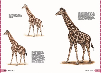 Foto 2 | Dibujo Facil Chelsea Ward Librero Tapa Blanda