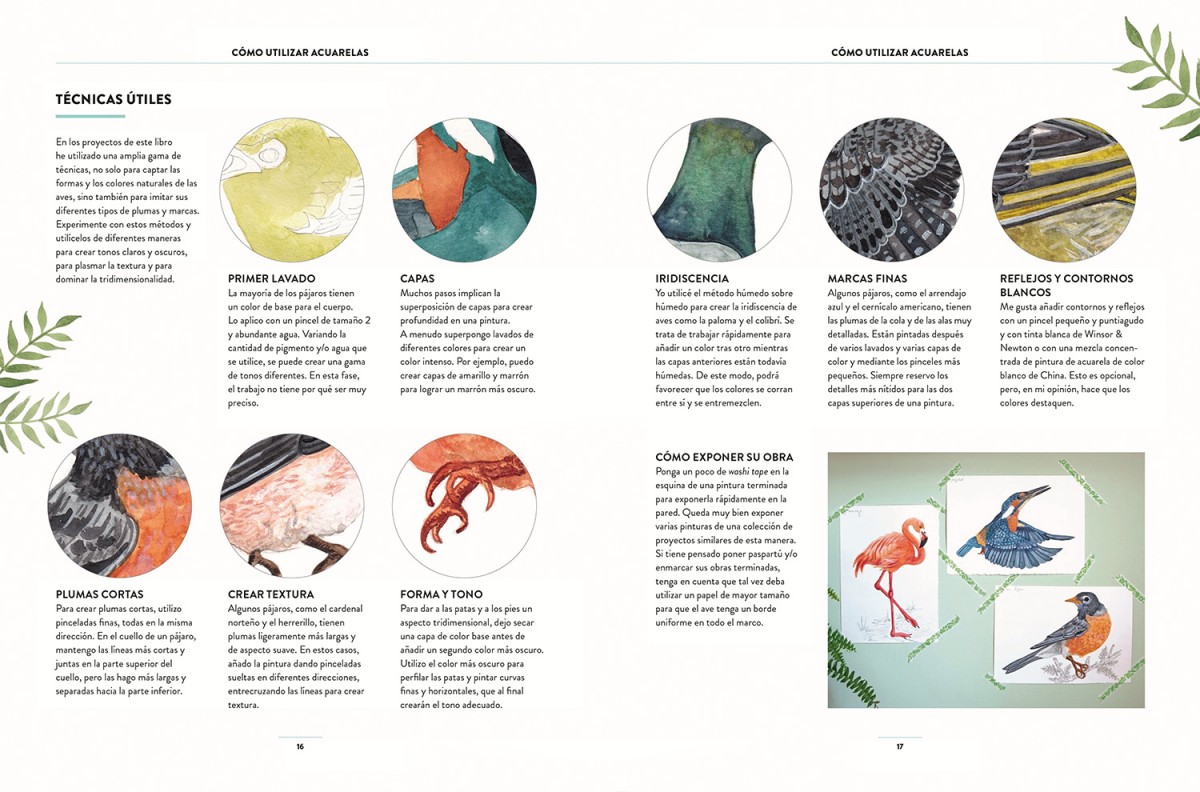 Foto 4 pulgar | Pintar Acuarelas En 10 Pasos Aves De Todo El Mundo Eleanor Longhurst Librero Tapa Blanda