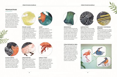 Foto 3 | Pintar Acuarelas En 10 Pasos Aves De Todo El Mundo Eleanor Longhurst Librero Tapa Blanda