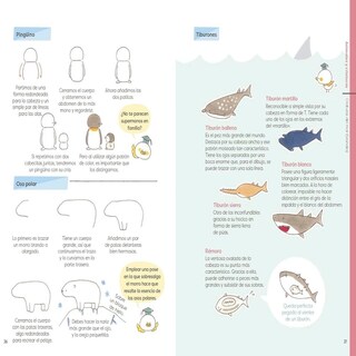 Foto 3 | Gran Enciclopedia De Dibujo