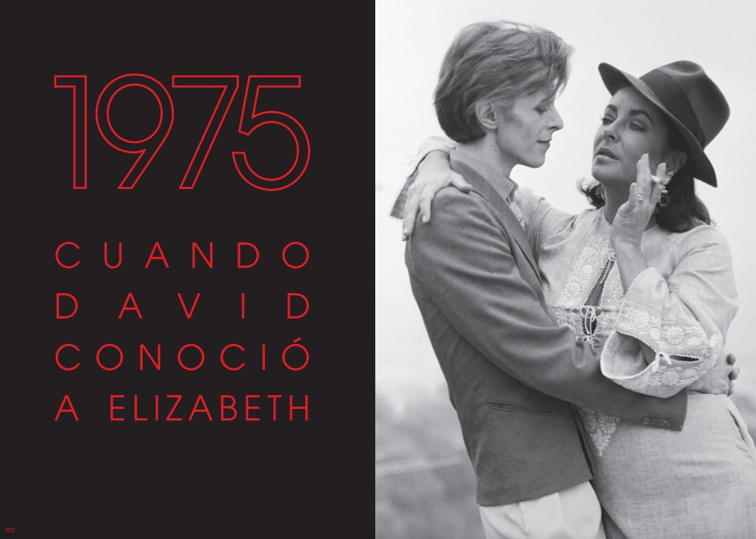 Foto 4 | Bowie 2019 Terence Oneil Blume Pasta Dura