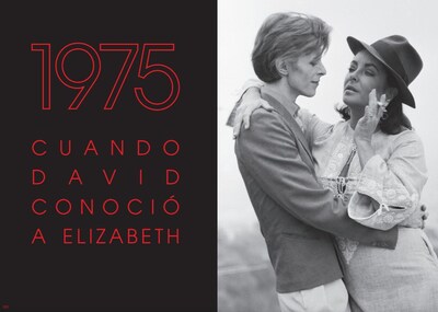 Foto 4 | Bowie 2019 Terence Oneil Blume Pasta Dura