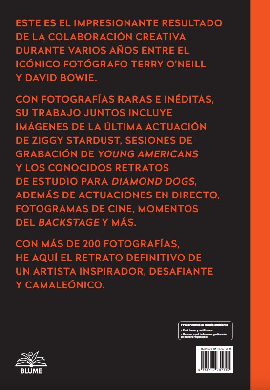 Foto 5 | Bowie 2019 Terence Oneil Blume Pasta Dura