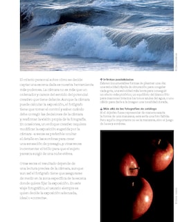 Foto 5 | Todo Lo Que Necesita Saber Para Tomar Fotografías Perfectas Blume Tapa Blanda