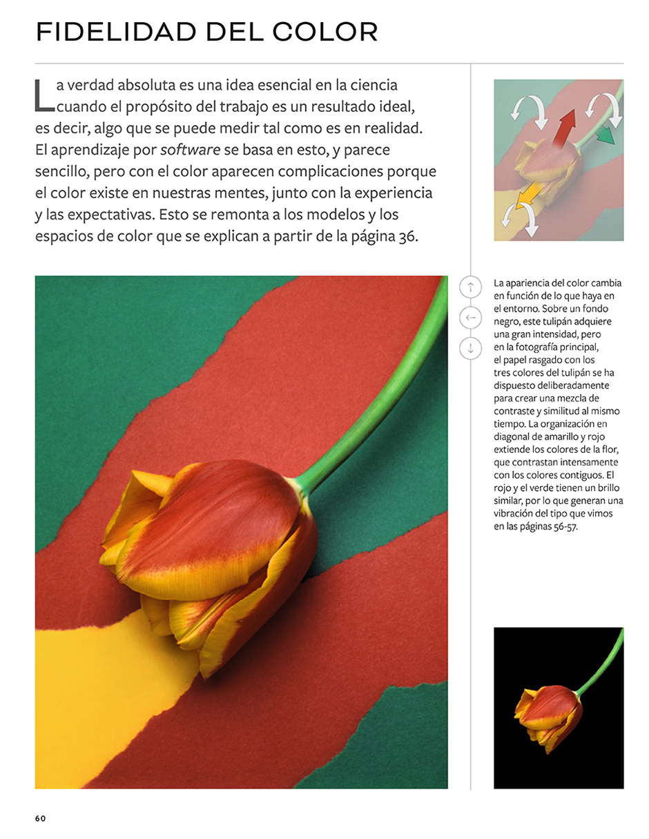 Foto 4 pulgar | Michael Freeman Sobre Color Y Tono Michael Freeman Blume Tapa Blanda