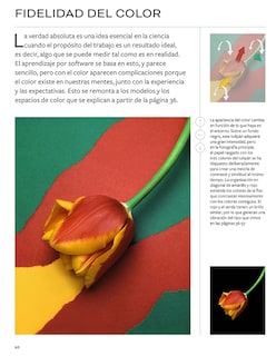 Foto 3 | Michael Freeman Sobre Color Y Tono Michael Freeman Blume Tapa Blanda