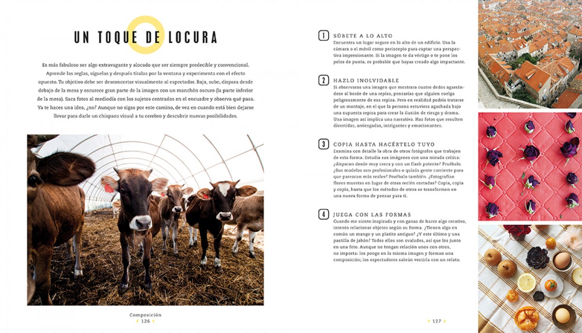 Foto 4 pulgar | Libro de Fotografía para Instagram