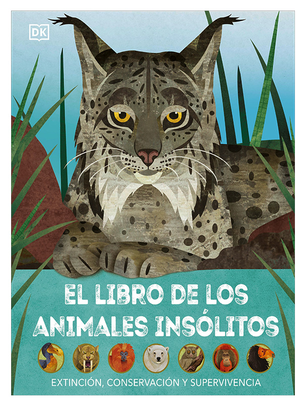 El Libro De Los Animales Insólitos Editorial Dk Autor Dk