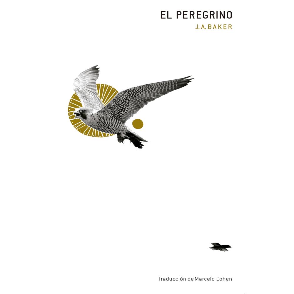 El Peregrino (nueva Edición)