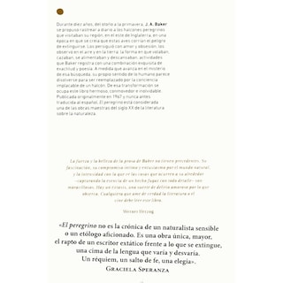 Foto 2 | El Peregrino (nueva Edición)