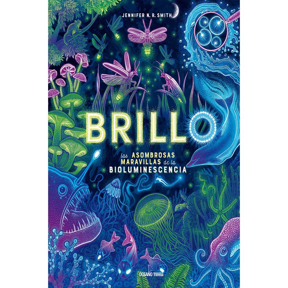 Foto 1 | Brillo