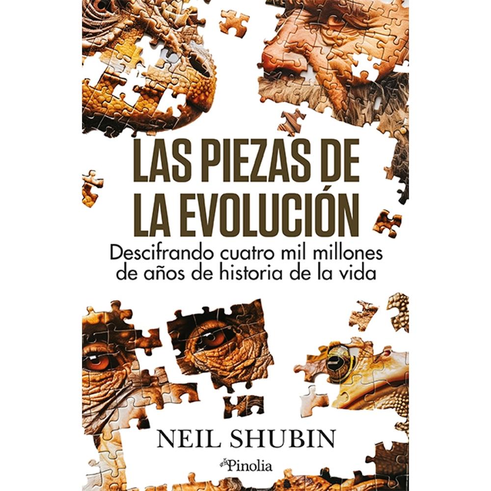 Las Piezas De La Evolución