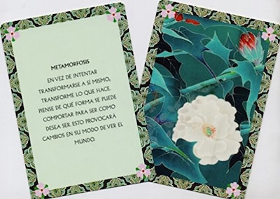 Foto 3 | Baraja De Conciencia Plena (mindfulness) Barbara Ann Kipler Librero Tapa Blanda