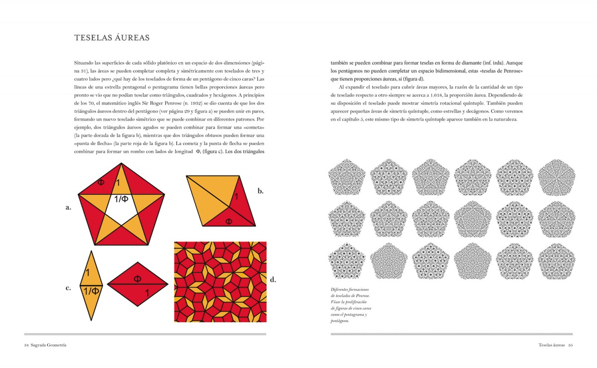 Foto 3 | La Proporcion Aurea Gary Maisner Librero Pasta Dura