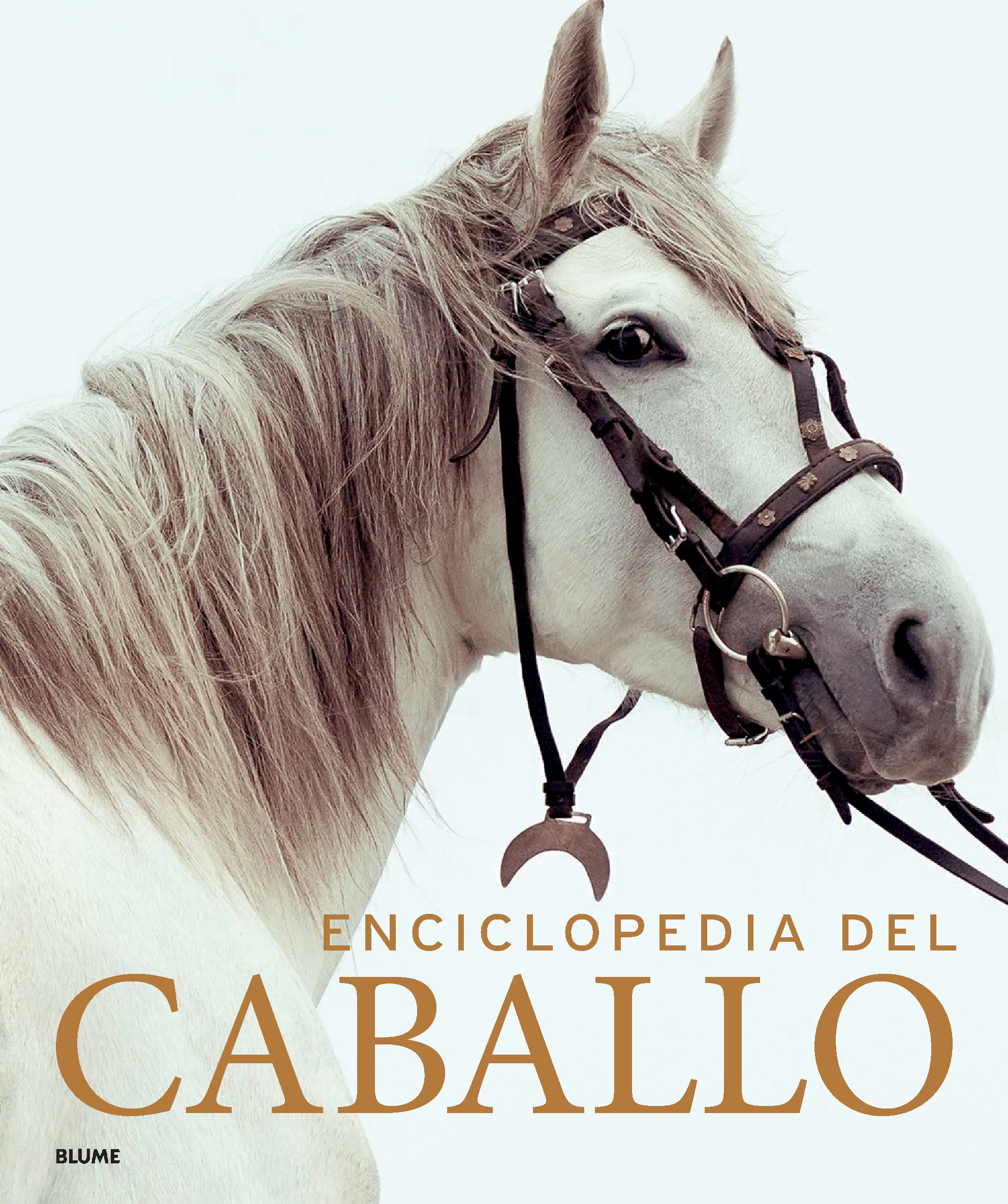 Foto 2 pulgar | Enciclopedia Del Caballo Blume Tapa Dura